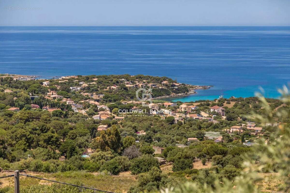 Corbara - Villa d'exception face à la mer - photo 6