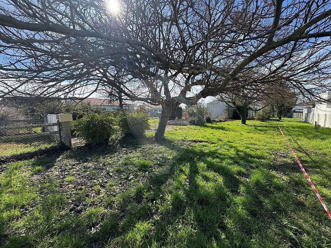 Terrain à LES MATHES