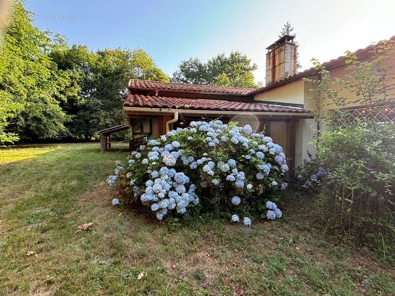 Maison à SAINT-PAUL-LES-DAX