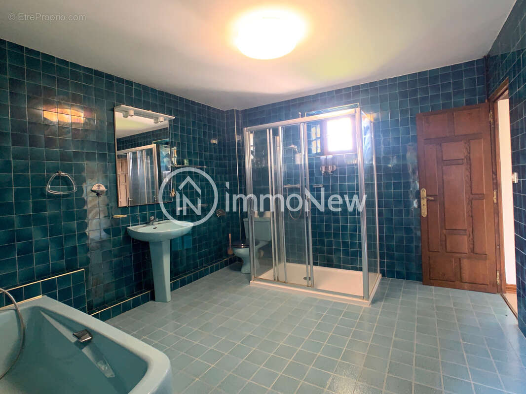 Maison familiale de caractère/Saint Sauveur la Pommeraye/ Grands volumes et piscine. - photo 11