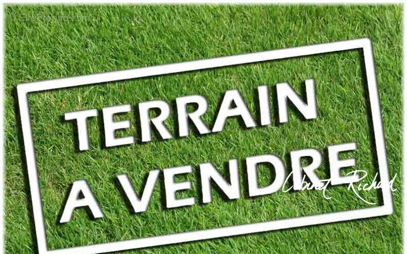 Terrain à LA RICHARDAIS