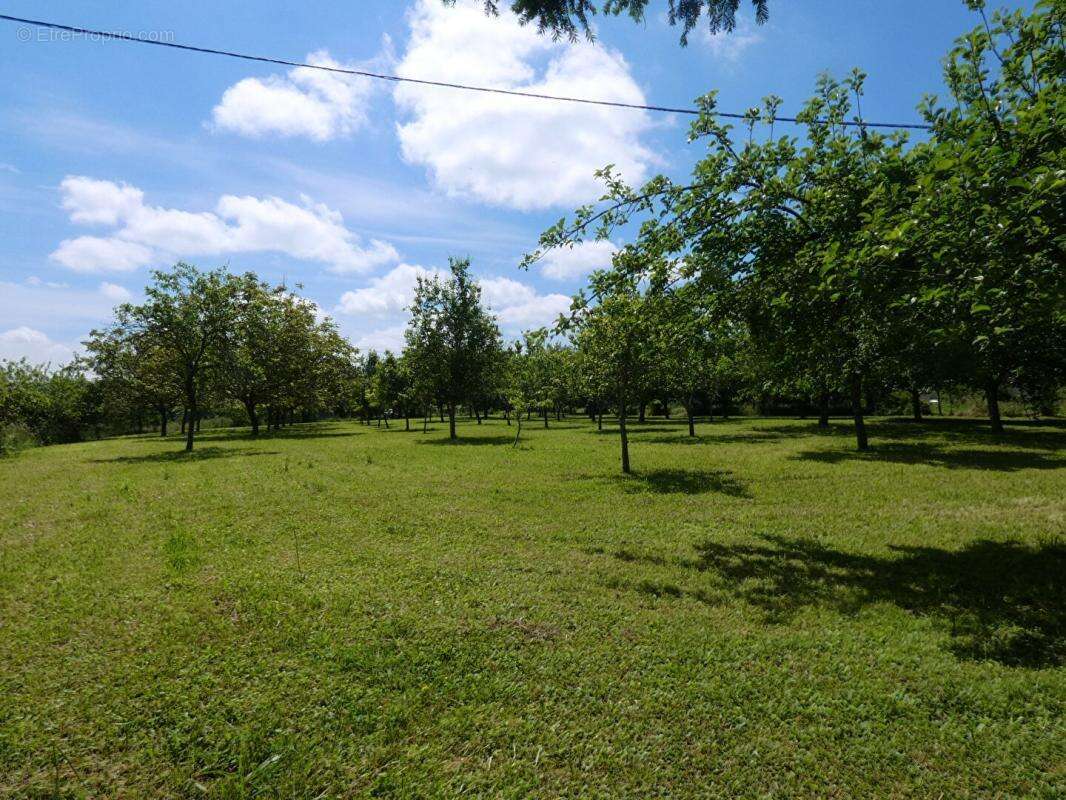 Maison125 m2 / 3 chambres / grange / terrain 4225m² - photo 8