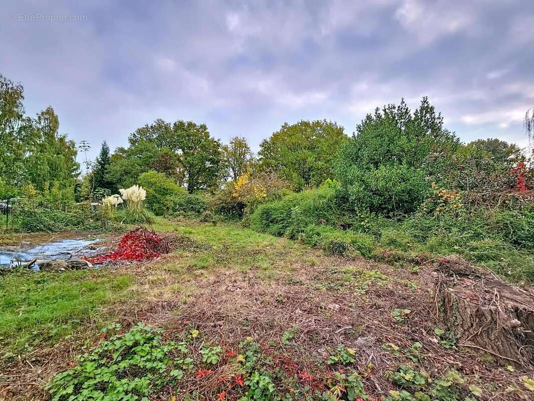 Photo 3 - Terrain à NANGIS