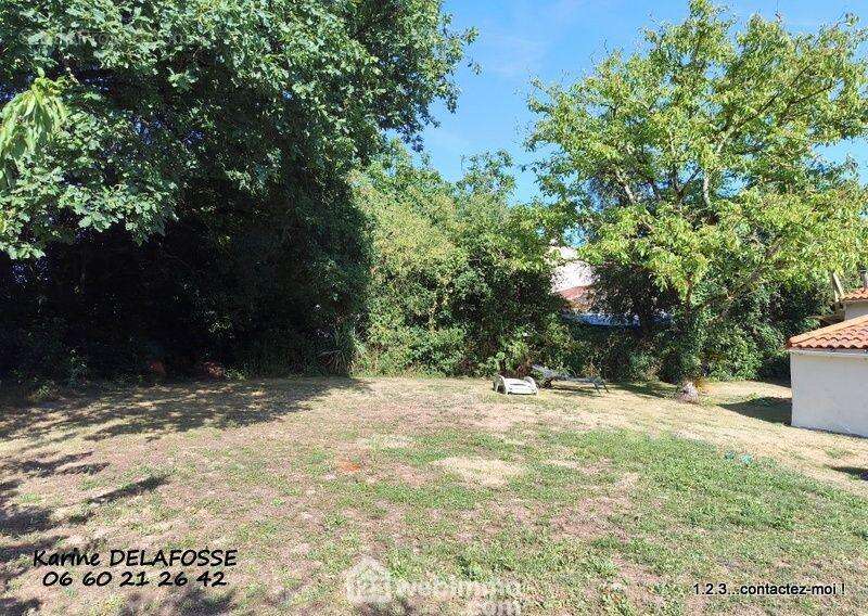 Maison 79 m² à Nieul-Le-Dolent  - photo 10