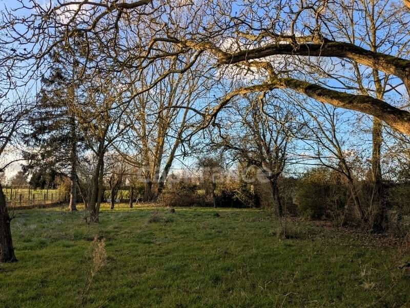 Terrain à NEUVILLE-EN-FERRAIN