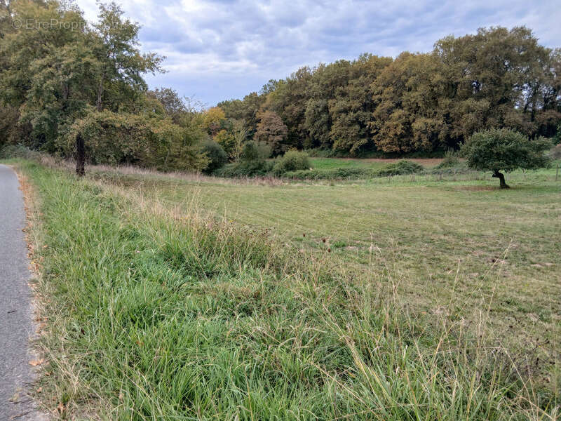 Terrain à SAINT-GENES-DE-LOMBAUD