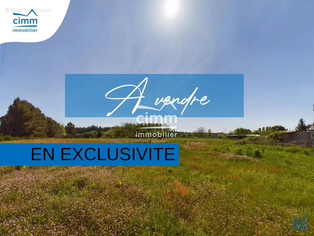 Terrain à LONGUE-JUMELLES