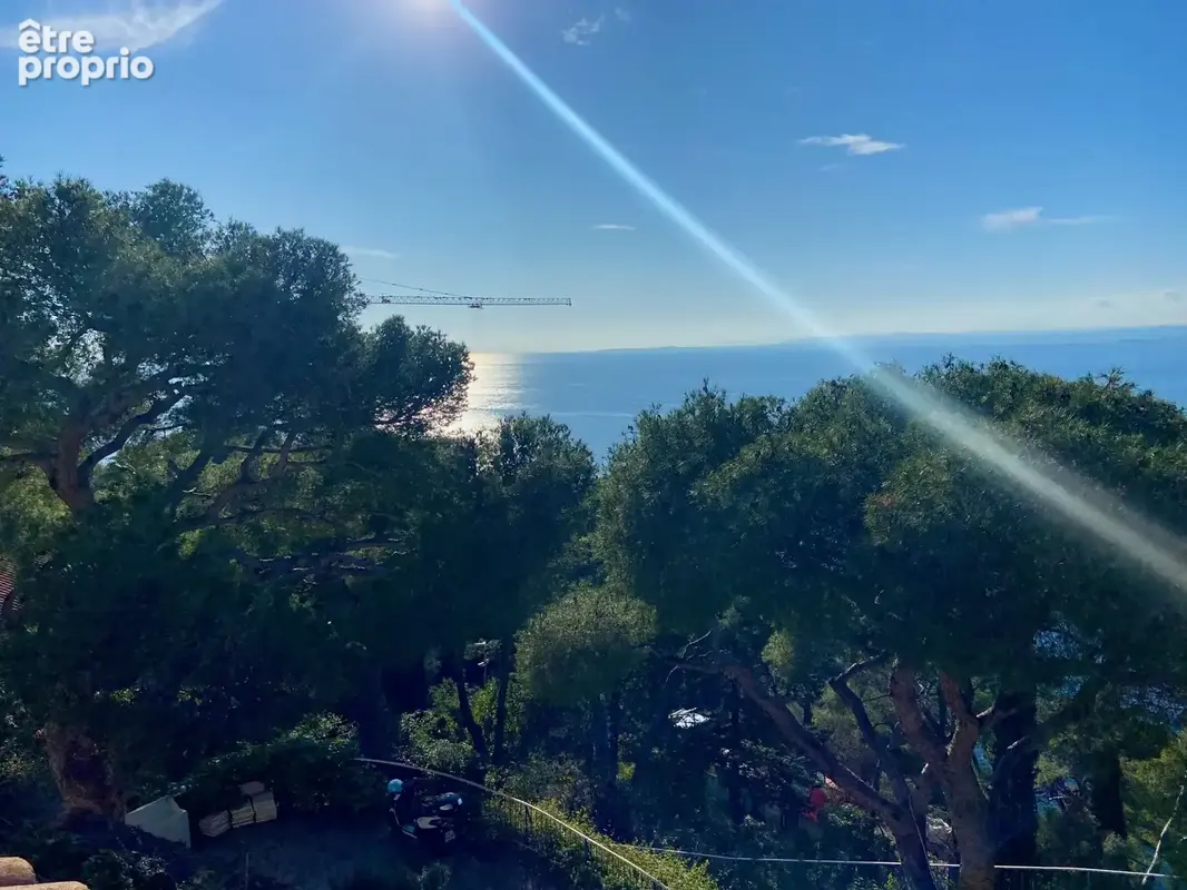 Cœur Saint-Jean Cap Ferrat magnifique projet de villa. - photo 4