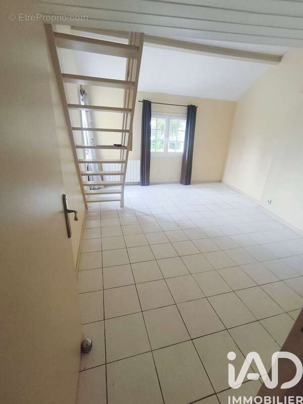 Maison 168 m² à Theneuil  - photo 8