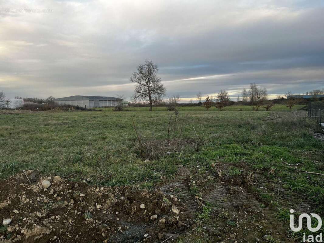 Photo 4 - Terrain à CAZERES