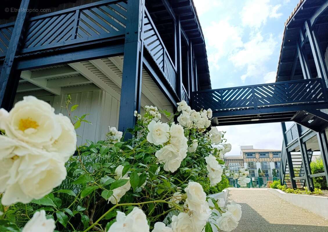 Appartement à MOLIETS-ET-MAA