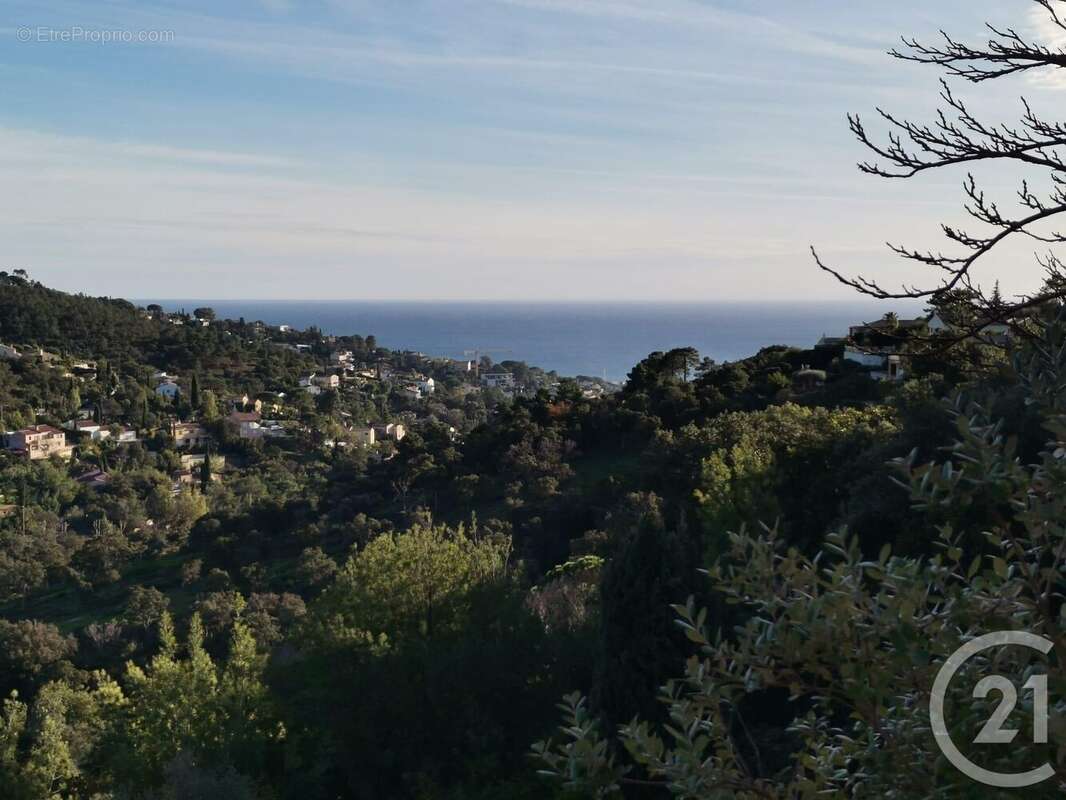 Terrain à ROQUEBRUNE-SUR-ARGENS