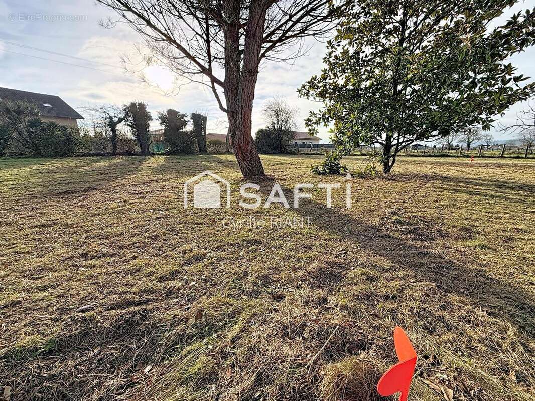 Photo 3 - Terrain à LA FRETTE