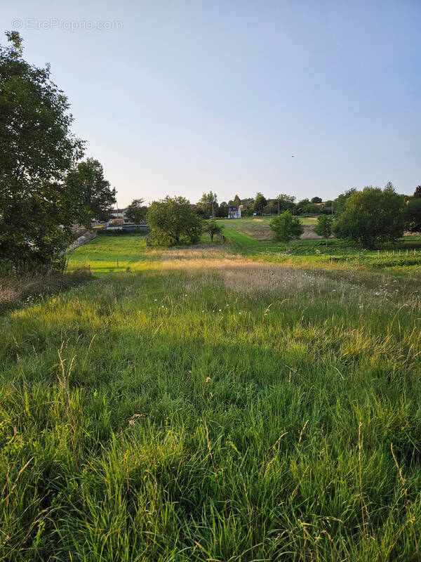 Terrain à NAILLY