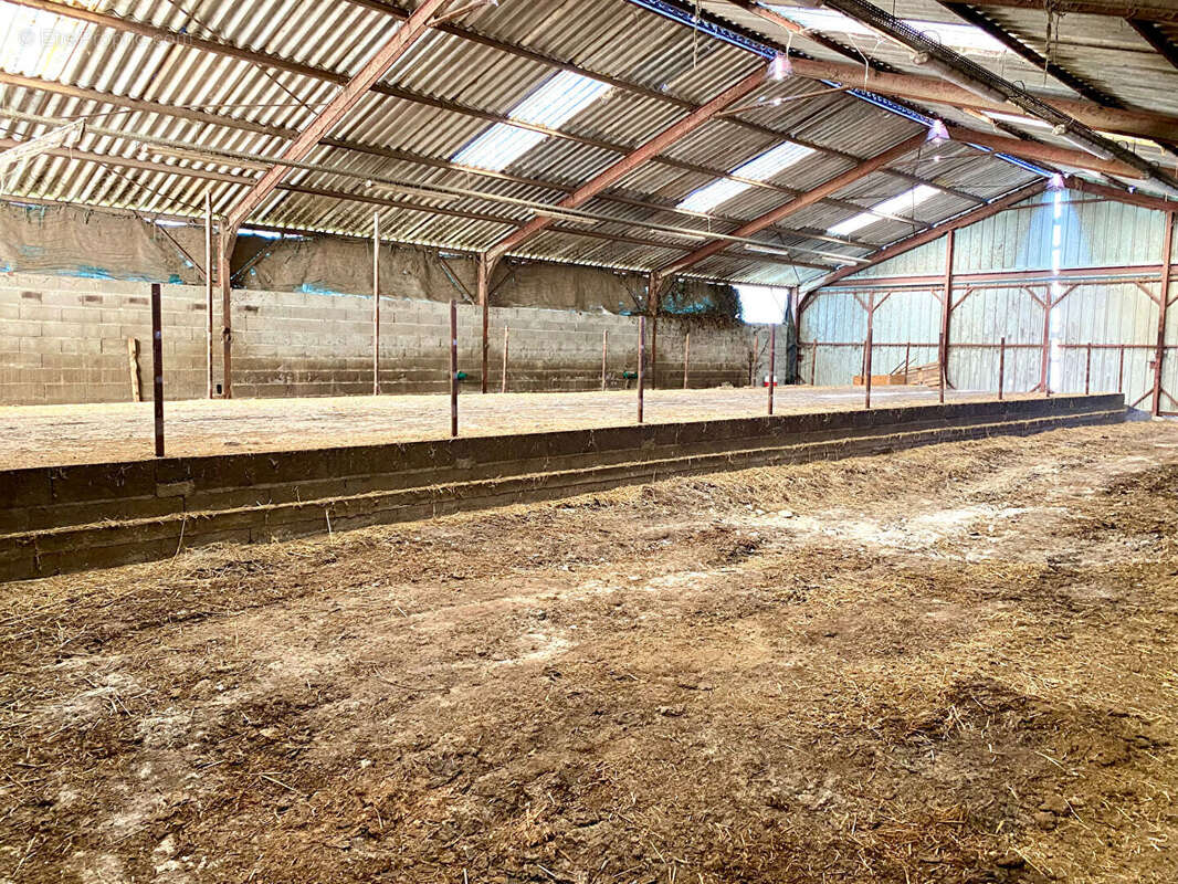 Terrain à CHATILLON-SUR-CHER