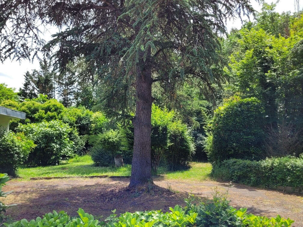 Ensemble de logements à vendre à Auch - photo 4