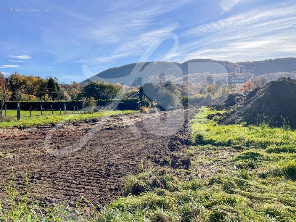 Terrain viabilisé (Lot 12 Bis) - Terrain à BEAUCROISSANT