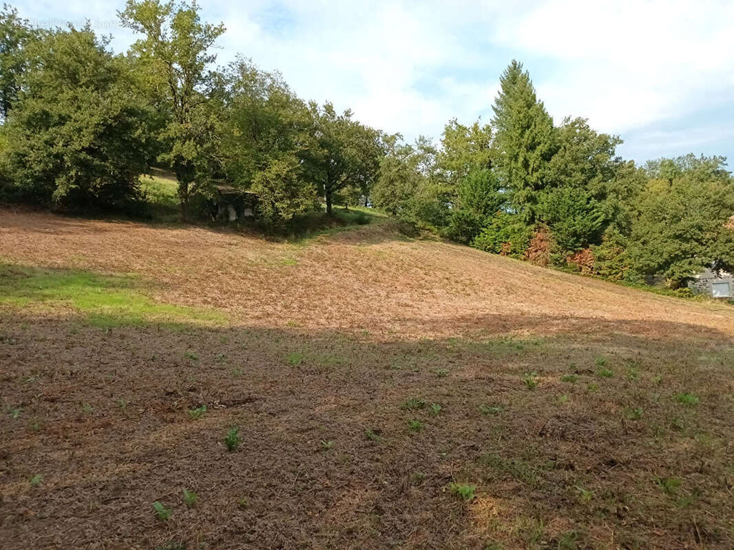 Terrain à LIVINHAC-LE-HAUT