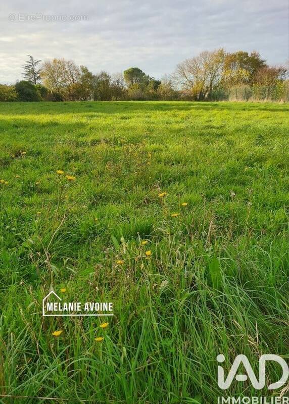 Photo 1 - Terrain à LE THOU