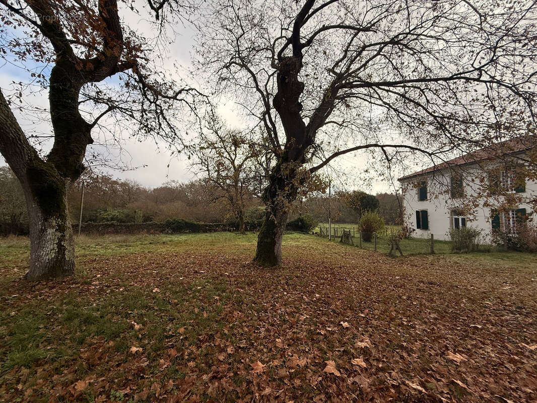Terrain à UCHACQ-ET-PARENTIS