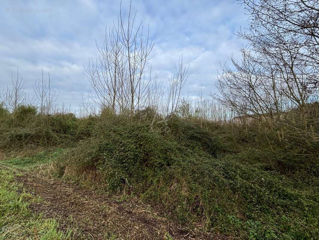 Terrain à MORANNES