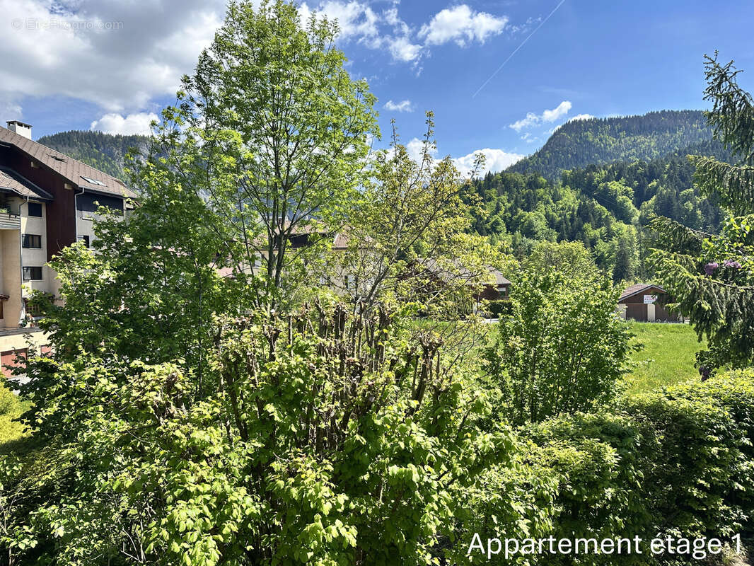 Maison à SAINT-JEAN-DE-SIXT