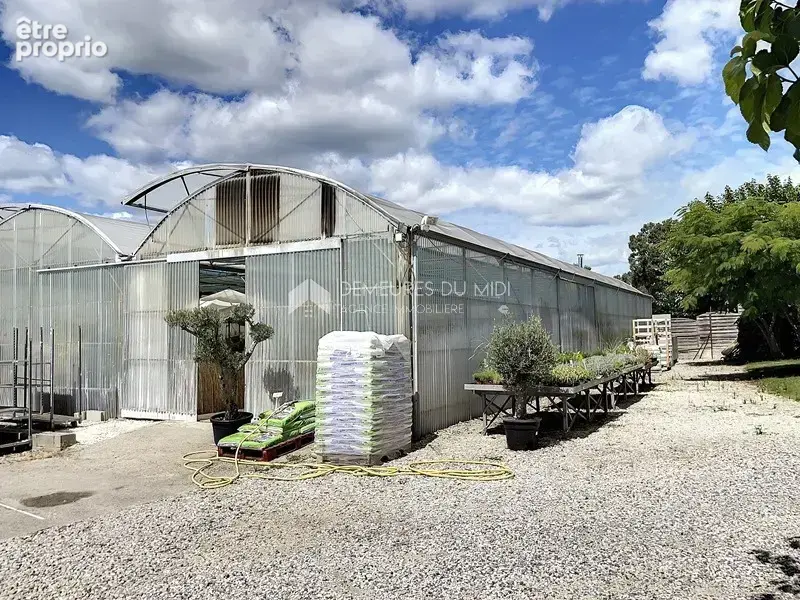 Terrain agricole avec une pépinière - photo 5