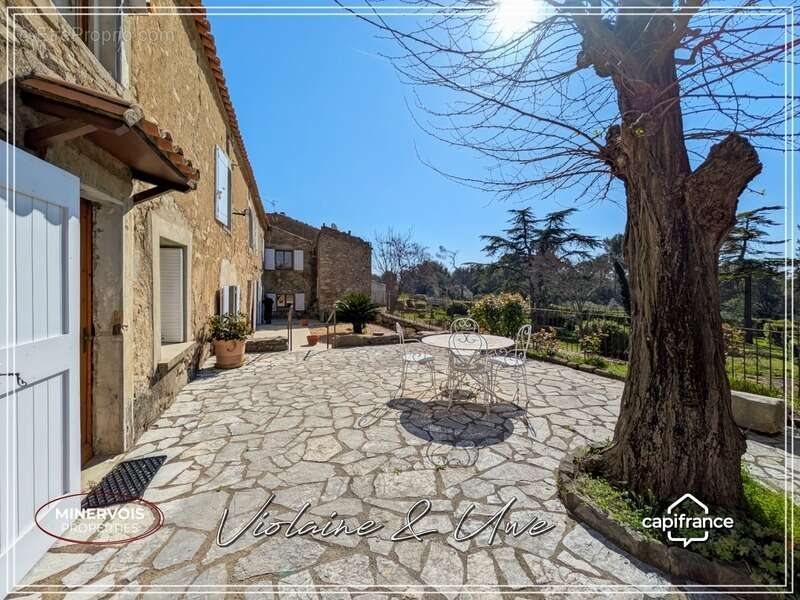 Domaine viticole d'exception de 47 hectares avec mas en pierre, gîtes et vignoble AOC Minervois – Hérault - photo 17