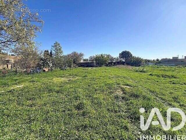 Photo 2 - Terrain à PUISSALICON