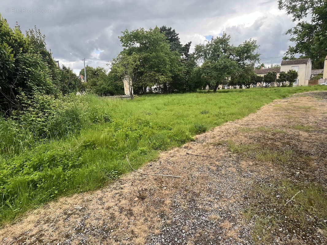 ref 60513 BRION PRES THOUET Terrain constructible hors lotissement de 1258m2 - photo 4