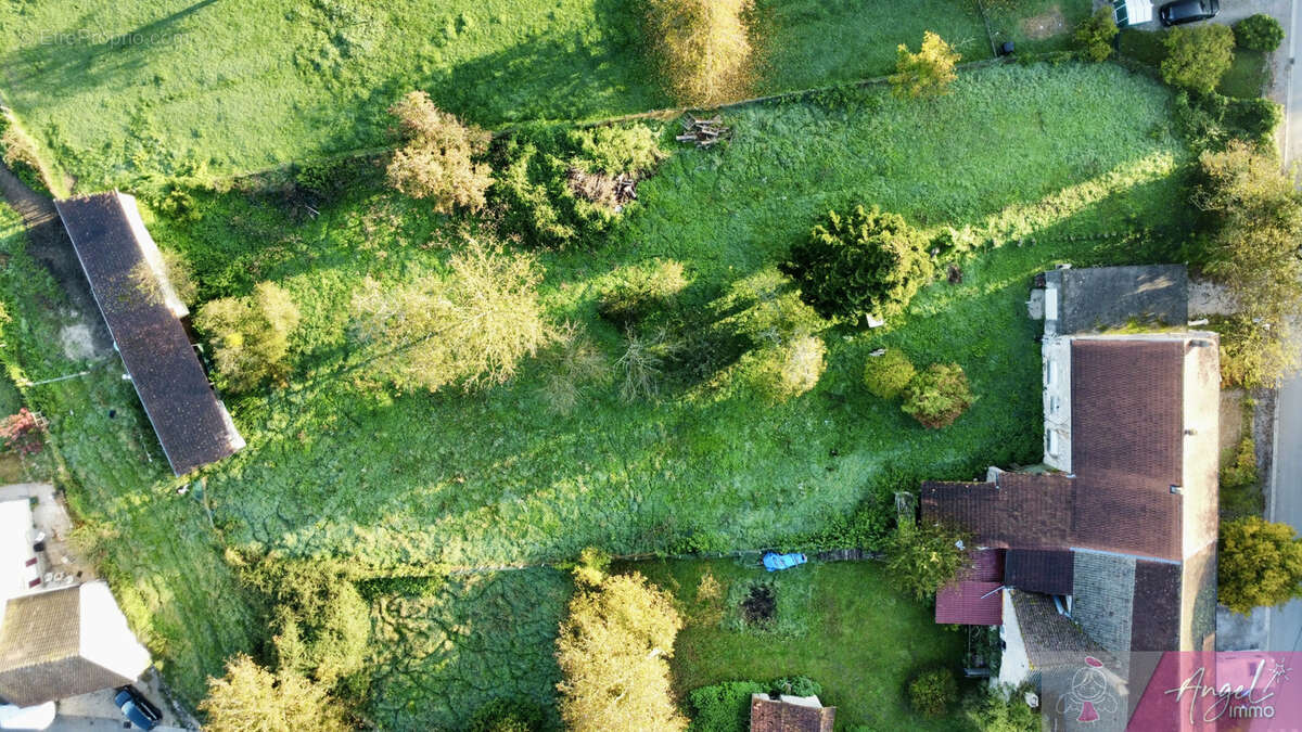 Terrain à DAMMARTIN-MARPAIN