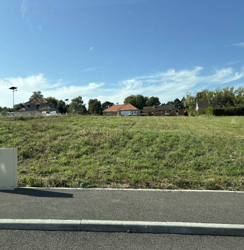 Terrain à AILLY-SUR-SOMME