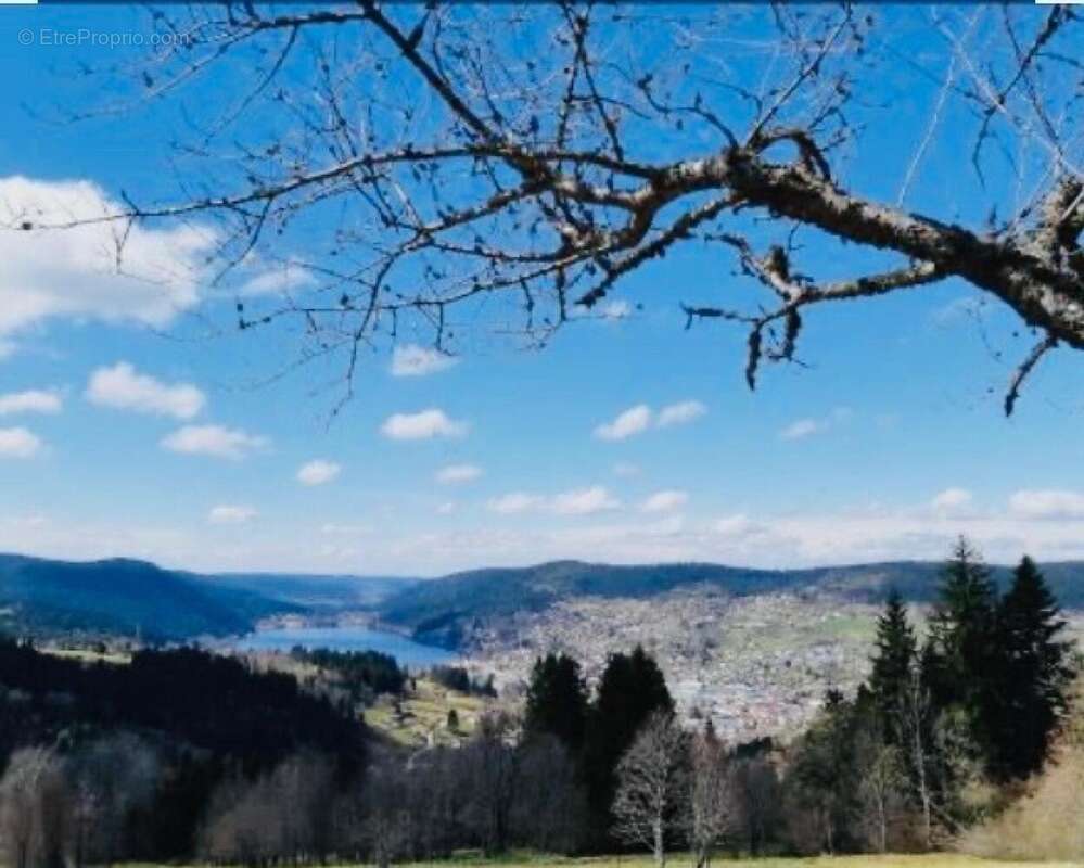 Commerce 546 m² à Gerardmer  - photo 4