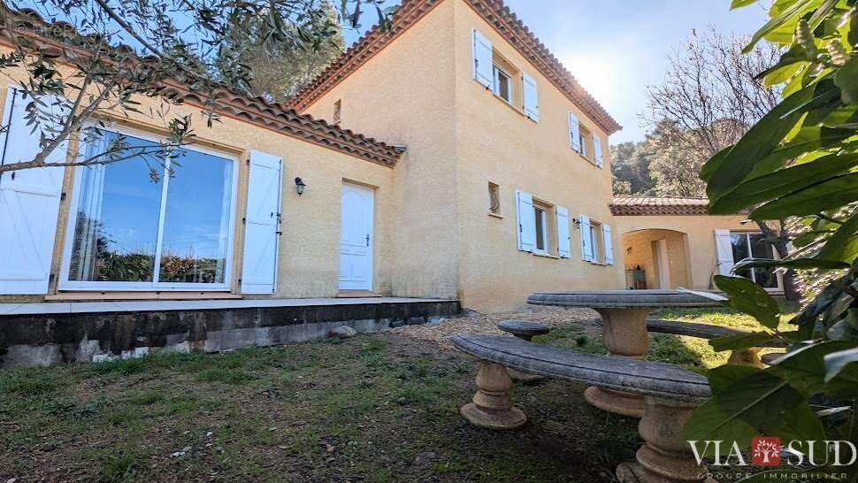 Arrière Pays, Belle villa languedocienne avec studio indépendant - photo 2