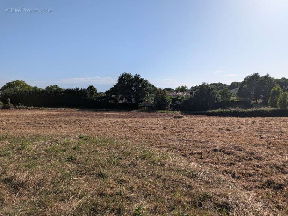 Terrain 473 m² à Berat  - photo 3