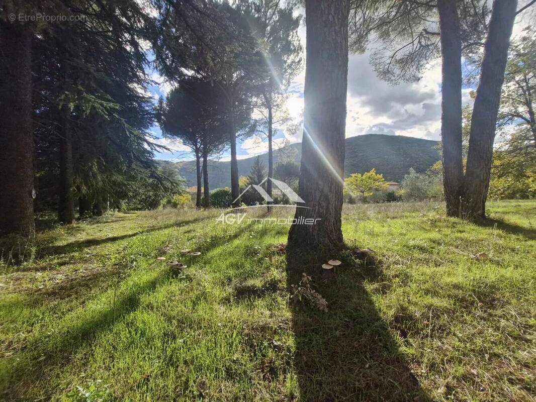 Terrain à SAINT-FLORENT-SUR-AUZONNET