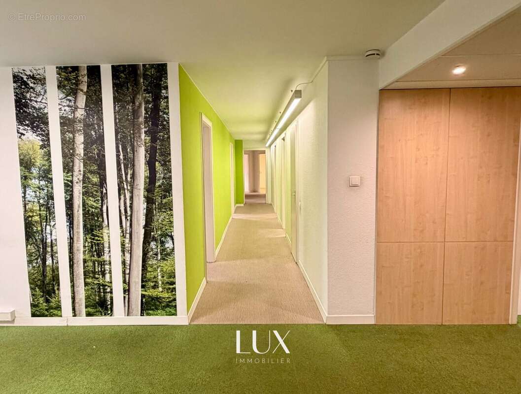 Commerce 220 m² à Strasbourg  - photo 4