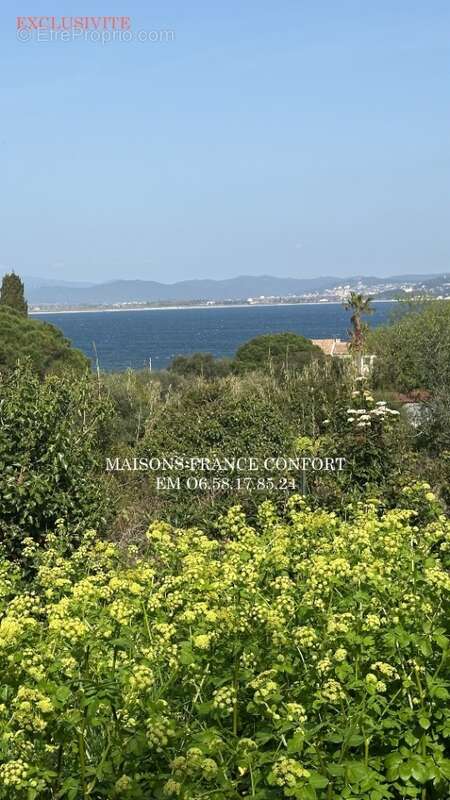 Terrain 1241 m² à Hyeres  - photo 2