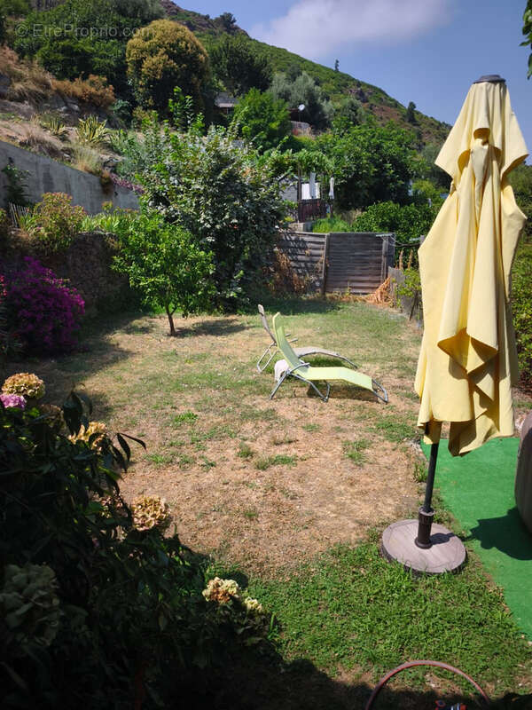 Maison de village - Studio T5 Cervione - photo 18