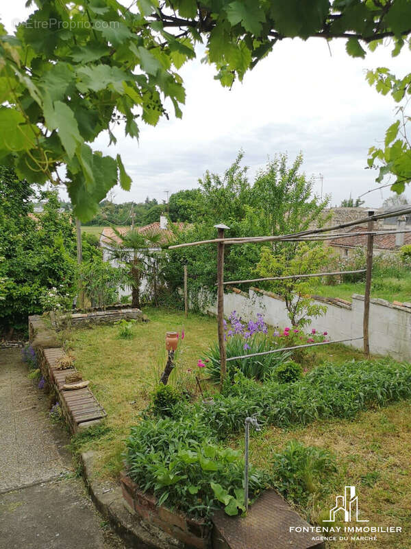 Maison à FONTENAY-LE-COMTE