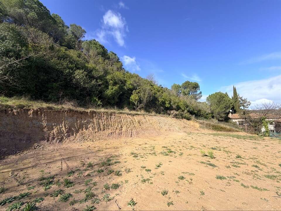 Terrain 1000 m² à Limoux  - photo 4