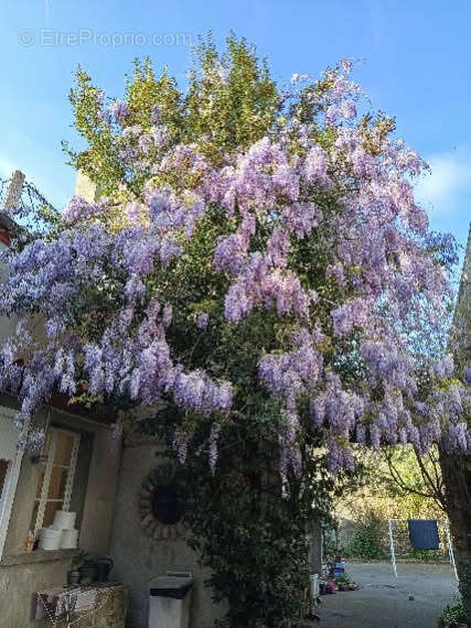 Maison à FERRIERES-EN-GATINAIS