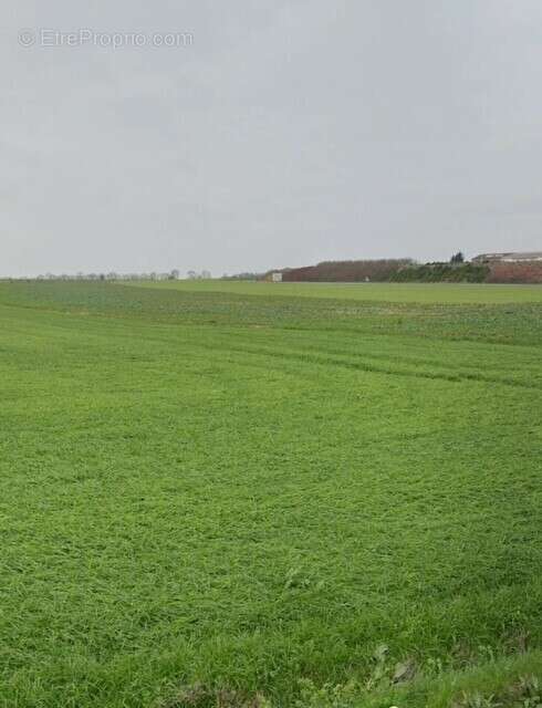 Terrain à VILLEDOUX