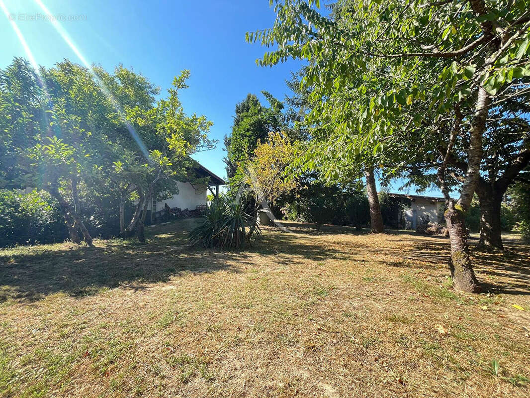 Grande maison de 182m² avec 4 chambres, piscine et sous-sol complet sur la commune de Rabastens ! - photo 15