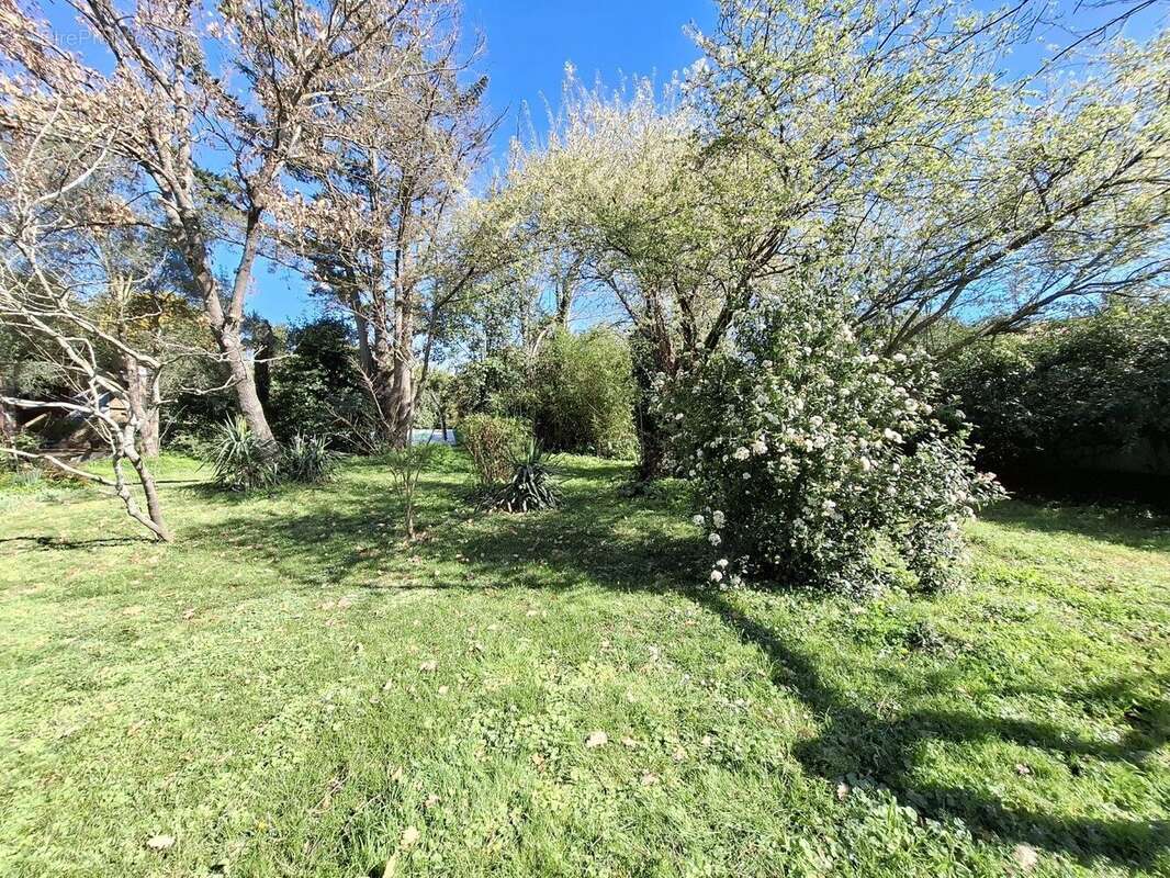 Grand terrain - Maison à CARBONNE