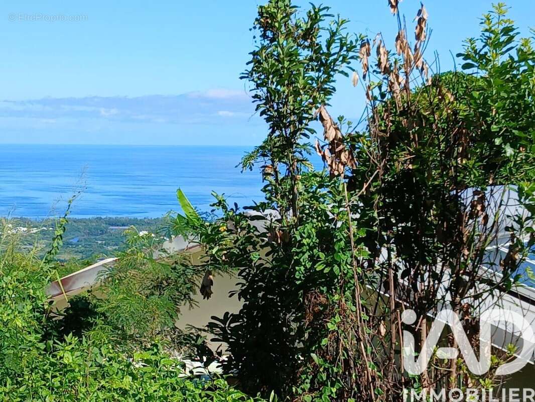 Photo 7 - Terrain à SAINT-PAUL