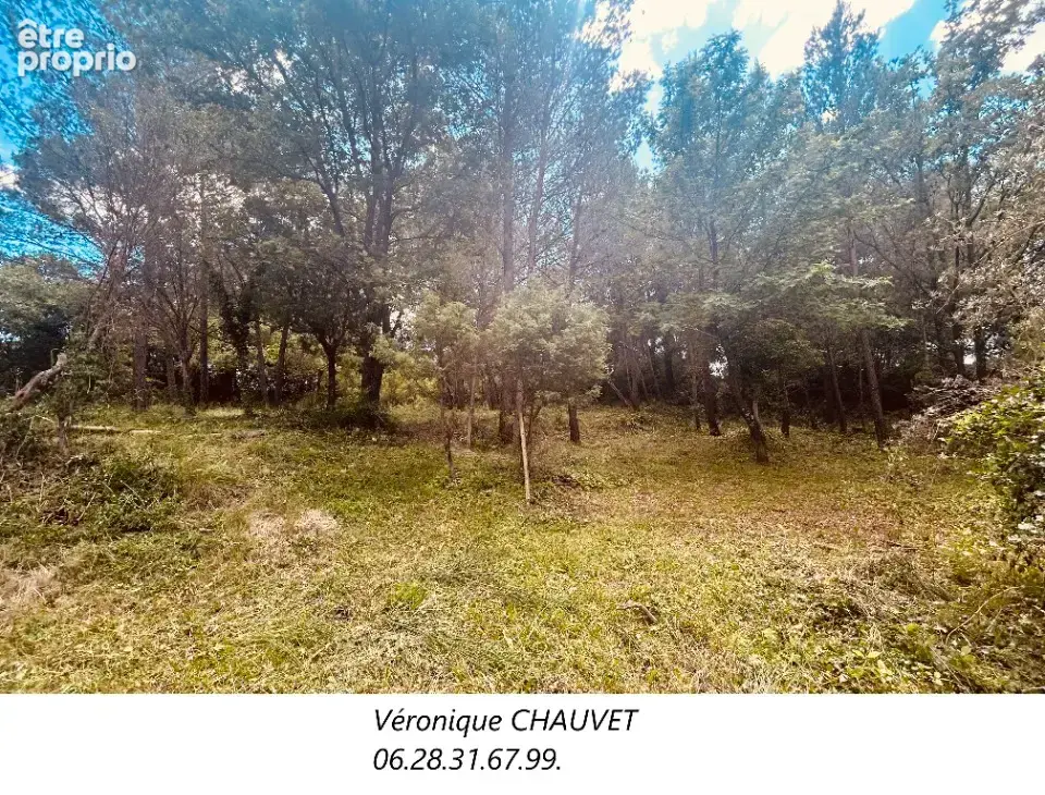 Terrain 976 m² à vendre à Flayosc (83780) - photo 3