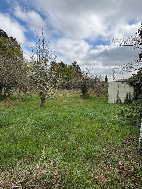 Terrain à SAINT-MEDARD-D'EYRANS