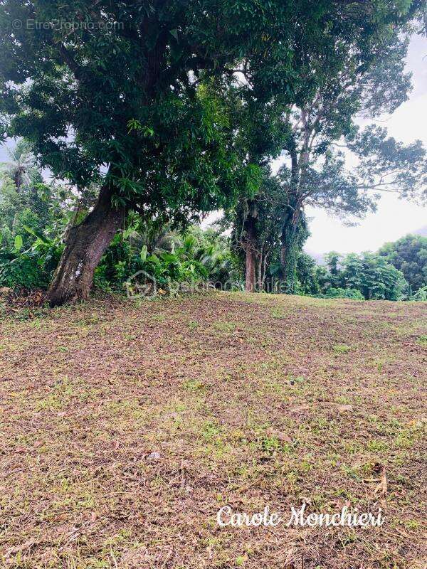 Terrain à CAPESTERRE-BELLE-EAU