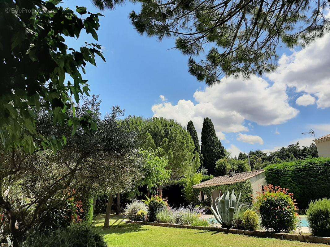 Maison à SAINT-REMY-DE-PROVENCE